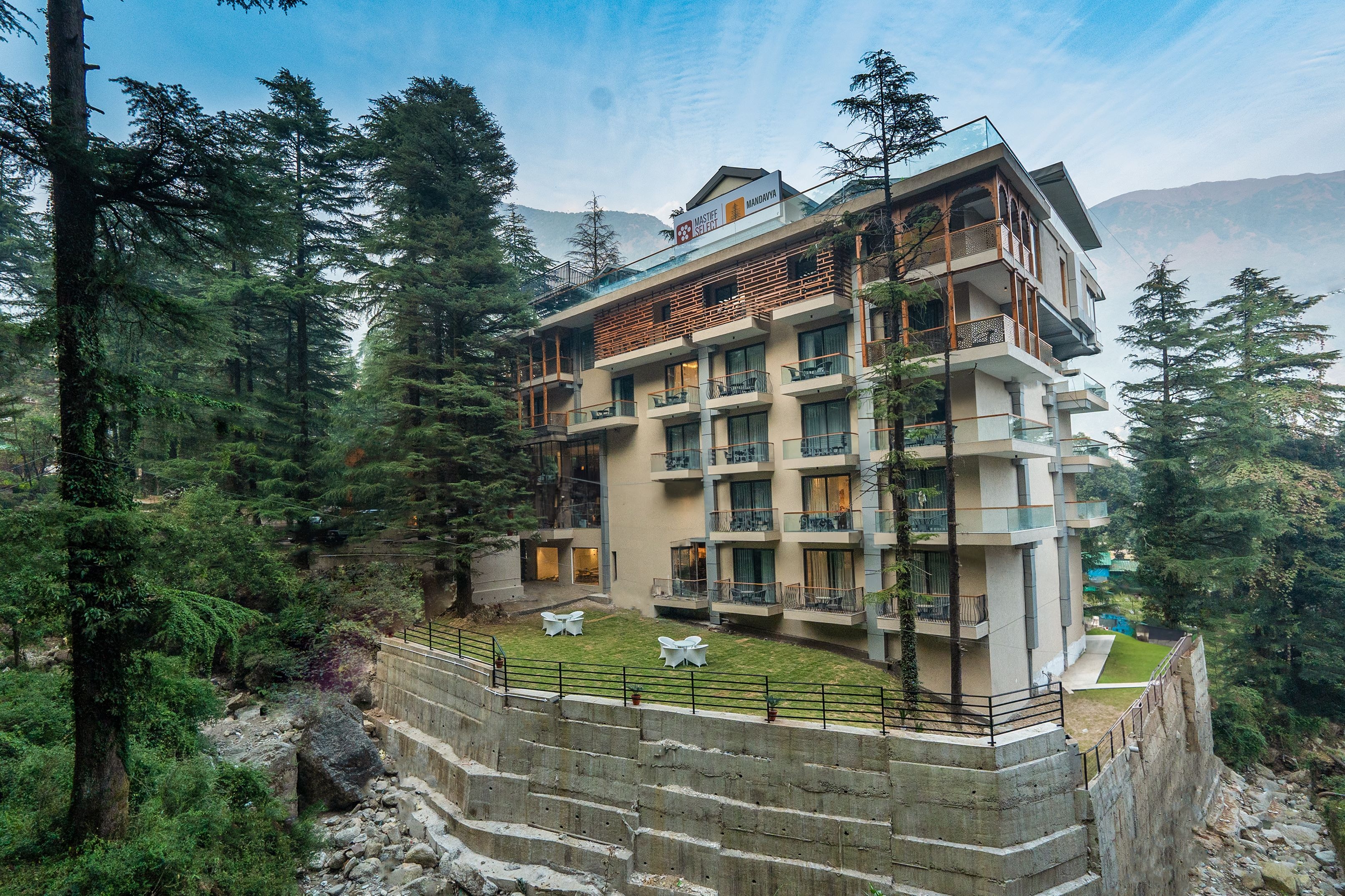 MASTIFF SELECT MANDAVYA DHARAMKOT MCLEODGANJ